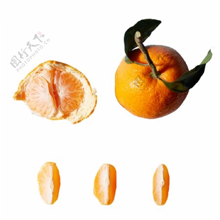 营养水果橘子