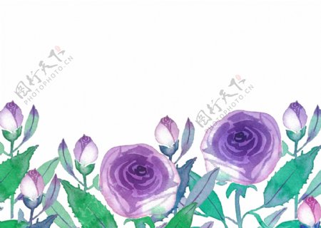 紫色花朵装饰边框