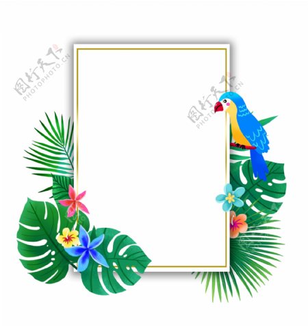 夏季热带植物和鹦鹉边框
