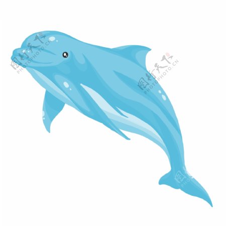 可爱生物海豚