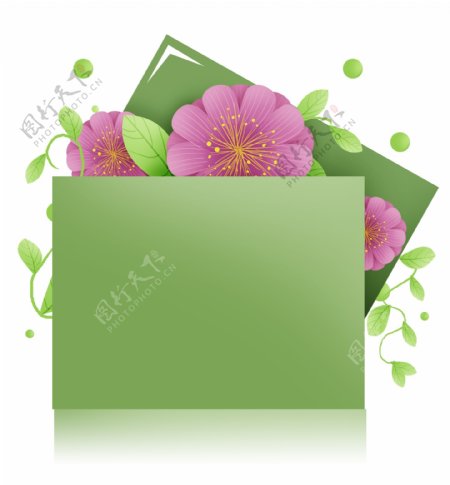 粉色花卉绿色文字框