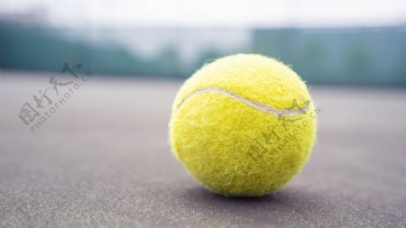 单个网球商业摄影