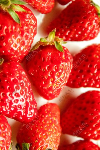 常见的水果之草莓
