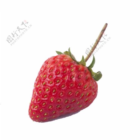 一颗熟了的红草莓免扣图
