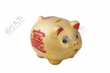 小金猪陶瓷储钱罐