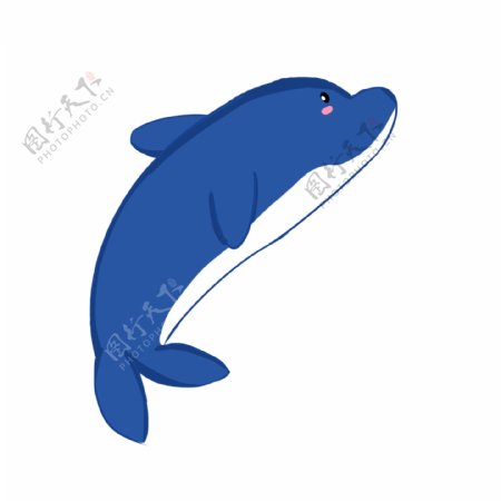 夏日海洋水族馆海豚可爱卡通免扣PNG