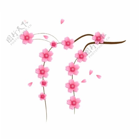 垂吊的粉色樱花插画