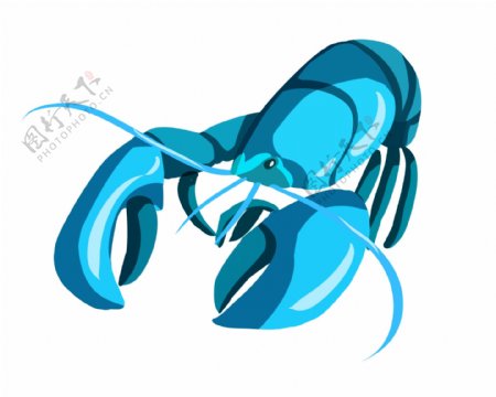 胖胖的蓝色龙虾插画