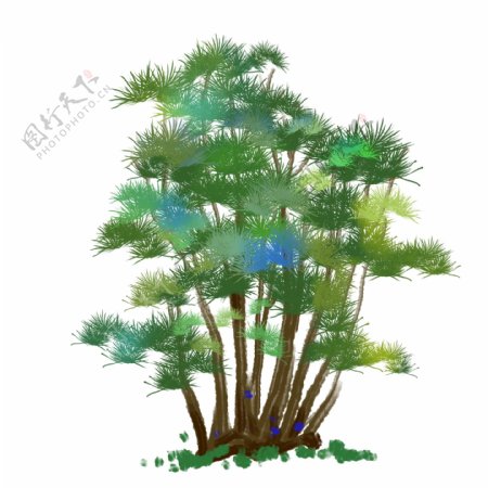 绿色的松树小树插画