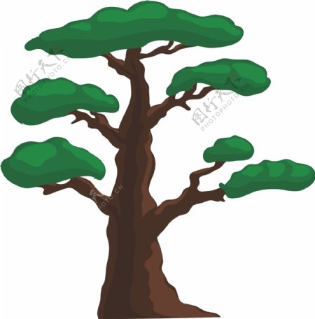 绿色的大松树插画