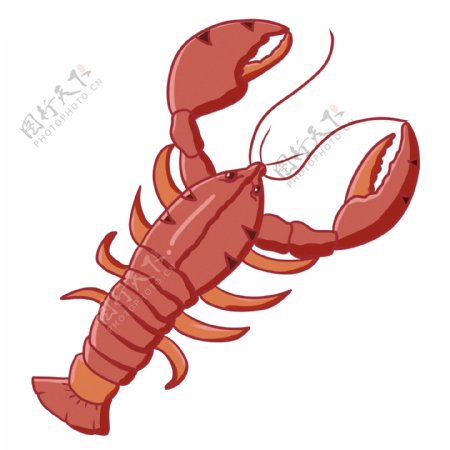 漂亮的红色龙虾插画
