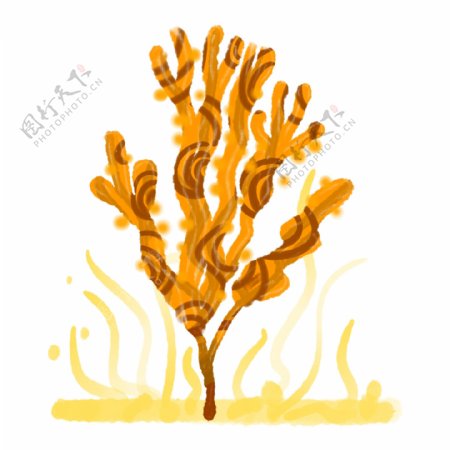 橙色海洋植物珊瑚