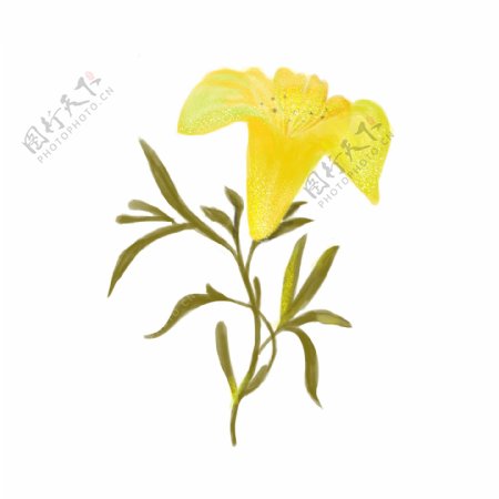 黄色的花朵装饰插画