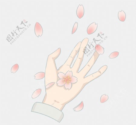 飘落的樱花和手指插画