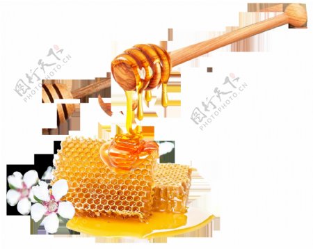 蜂蜜效果图