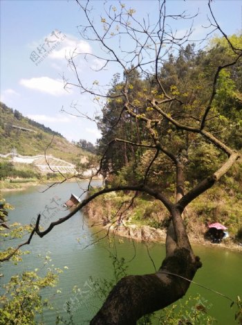 自然风景湖泊树绿水青山