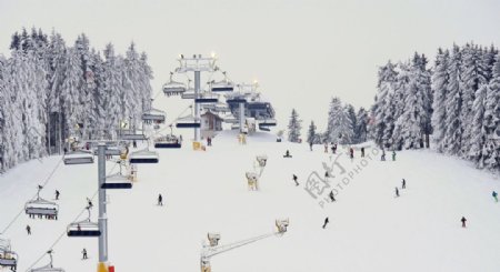 欧洲滑雪场雪景滑雪景色