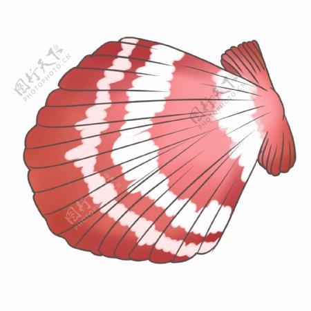 红白色卡通贝壳