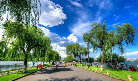 杭州西湖清新优美旅游风景