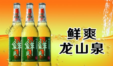 龙山泉啤酒05