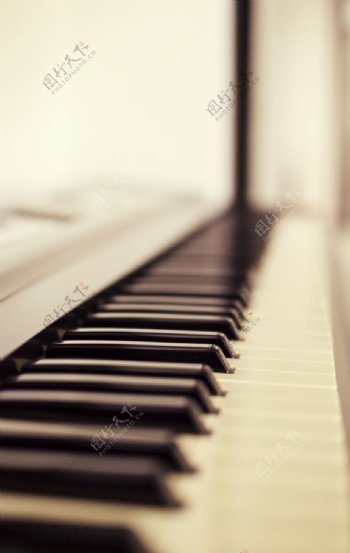 钢琴特写