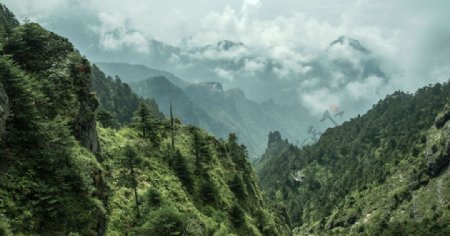 神农架神农顶风景