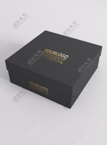 原创模型方盒子烫金logo样机鞋盒