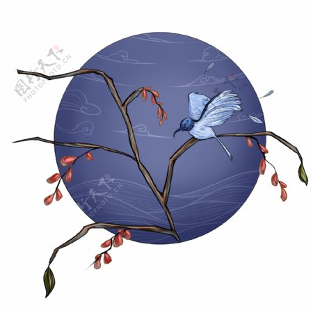 霜降时节的红枣树和小鸟