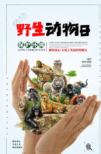 野生动物保护海报