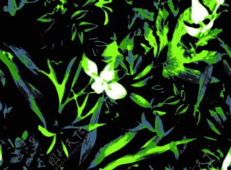 数码印花手绘花热带植物