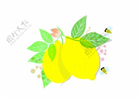 柠檬蜂蜜