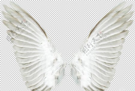 翅膀图案设计