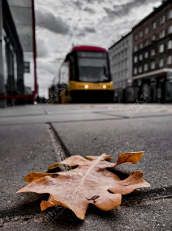 城市道路与交通