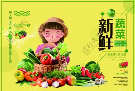 蔬菜海报易拉宝名片