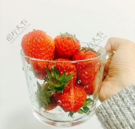 一杯草莓
