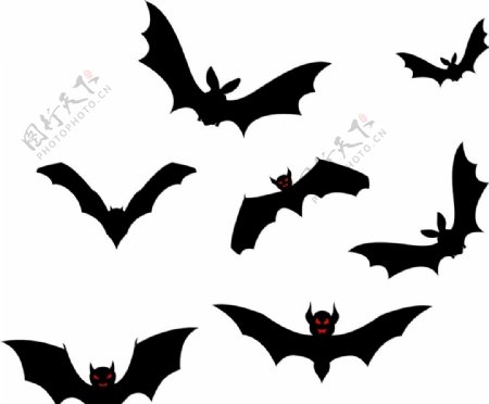 蝙蝠