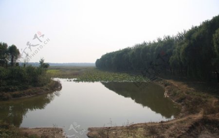 汉石桥湿地池塘