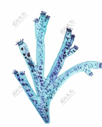 手绘水彩蓝色珊瑚