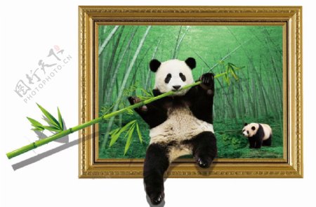 3D熊猫吃竹子