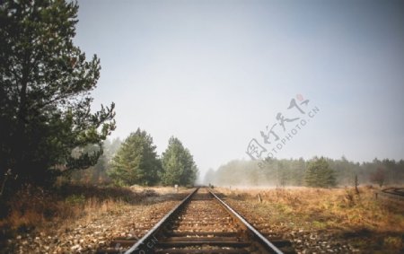 森林边的铁路