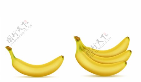 超逼真香蕉插画
