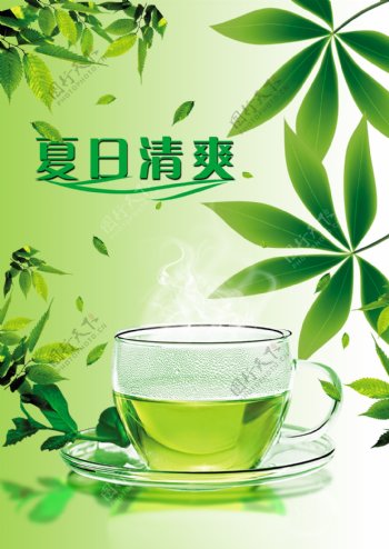 绿茶海报素材