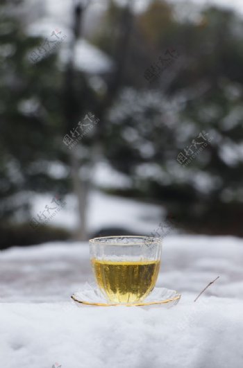 雪中茶