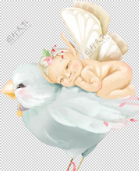 手绘小鸟和婴儿天使