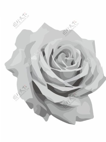 色块灰度玫瑰花