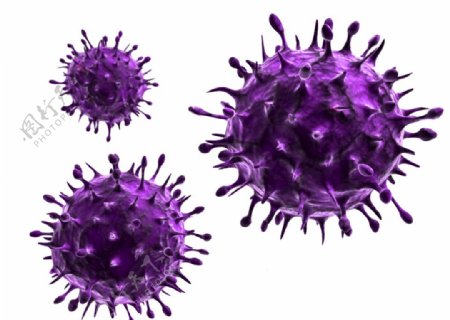 紫色病毒