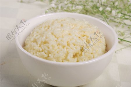 优质米饭