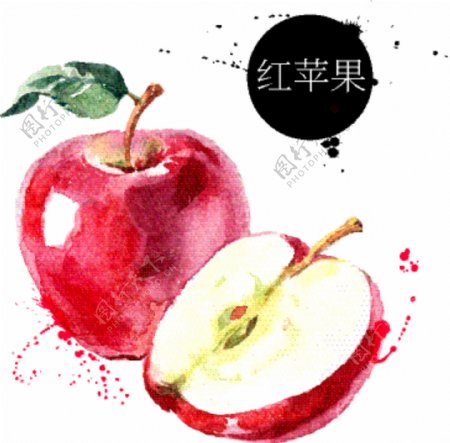手绘红苹果插画彩绘水果矢量素材