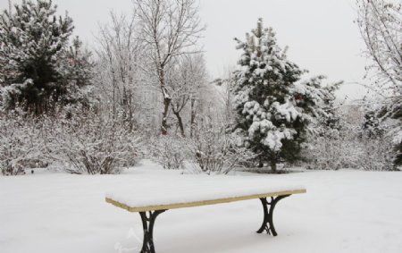 雪中长凳