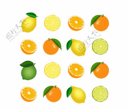 矢量柑橘